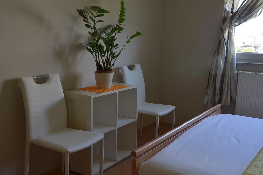 Apartman Ana Pula - Calm, Free Parking, Close To Center Luaran gambar